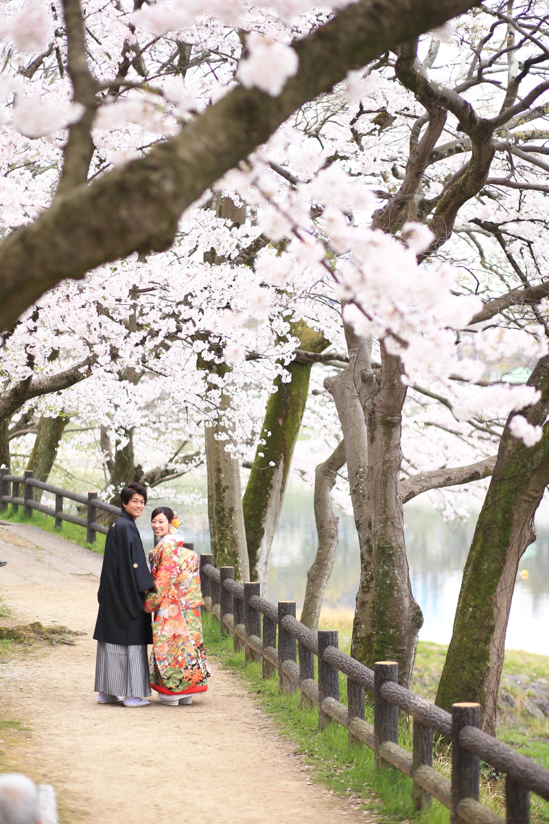 色んな場所での撮影