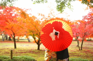 理想の写真が撮れた！