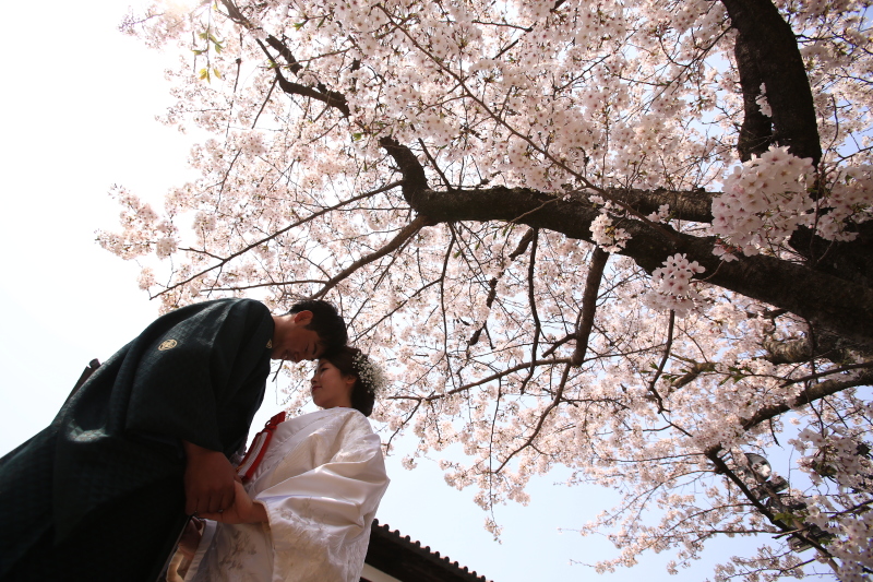 スタッフさんが多くて安心!