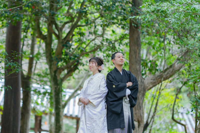 緑の雰囲気