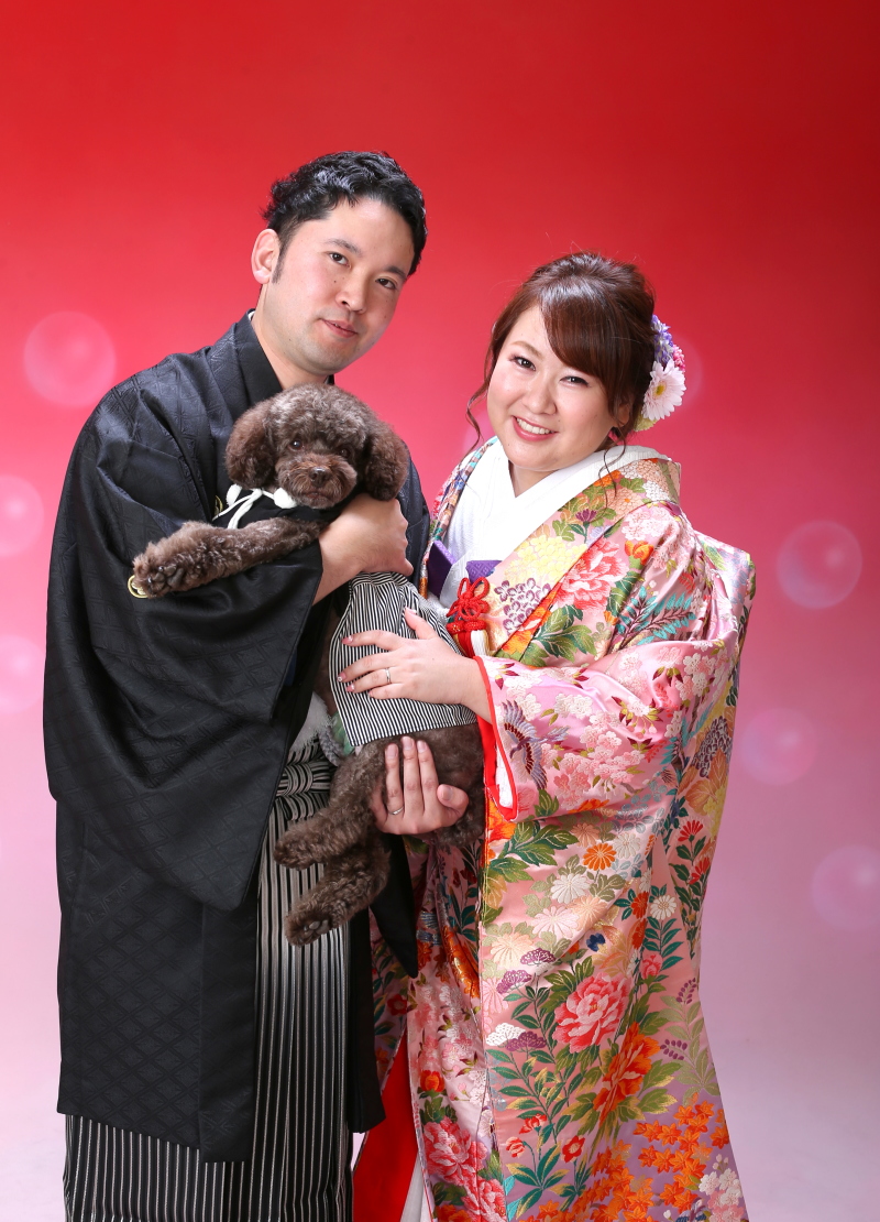 良い写真がたくさん