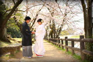 桜ロケーション