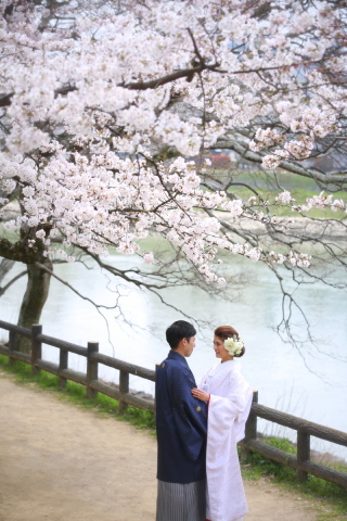 白無垢と色打掛どちらも着れた桜ロケーション
