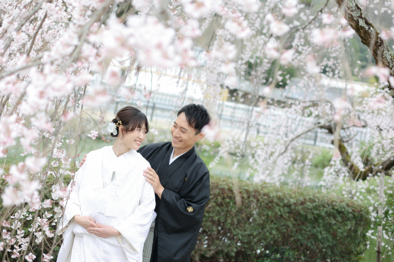 桜ロケーション＊