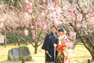 写真で梅の花がこんなにきれいだったなんて