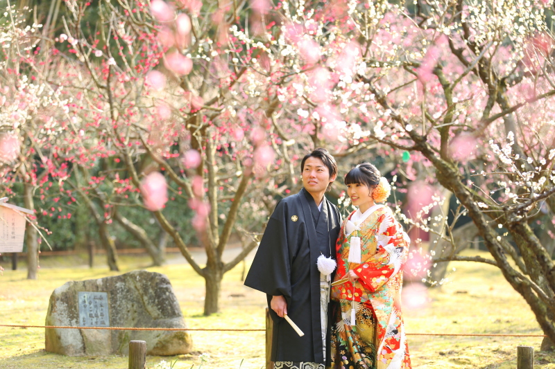 写真で梅の花がこんなにきれいだったなんて