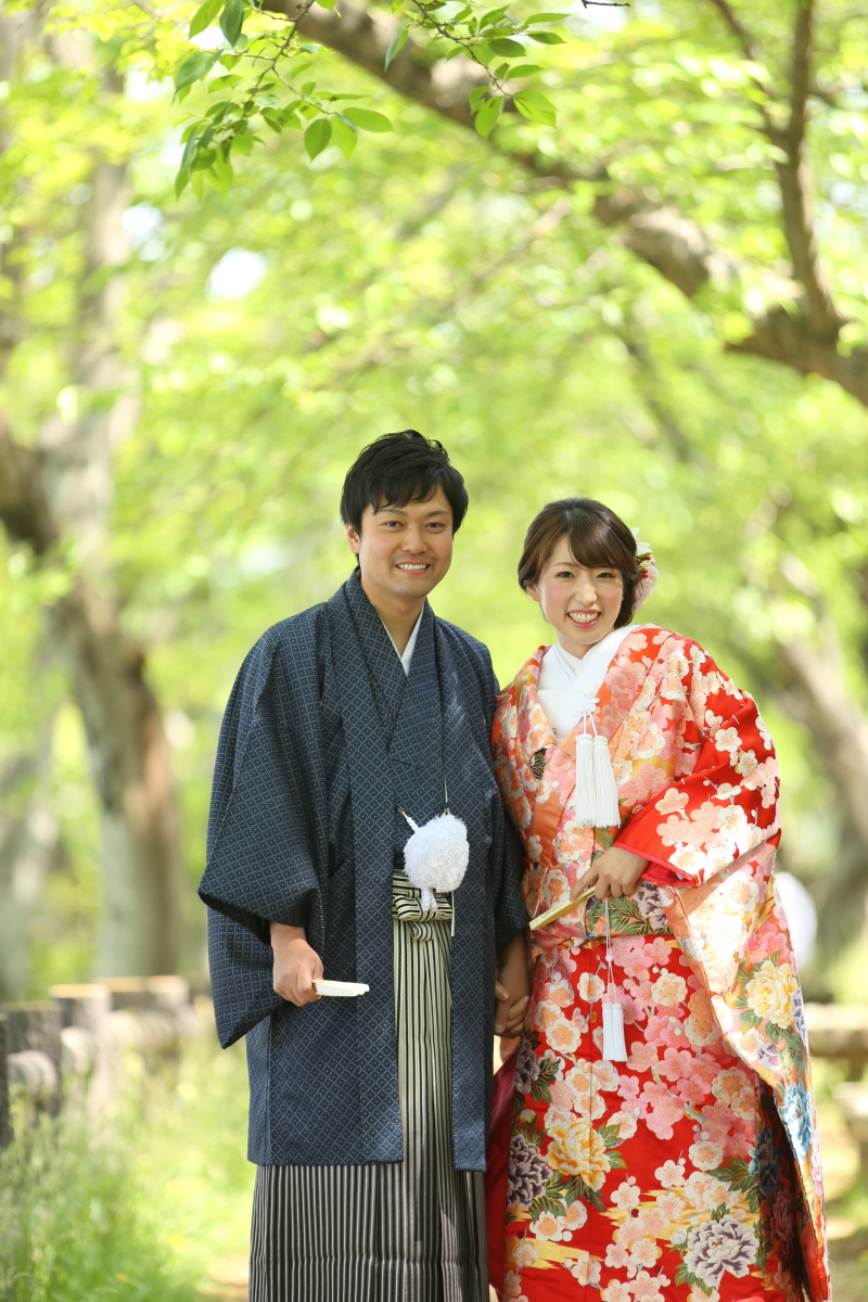 色鮮やかな新緑