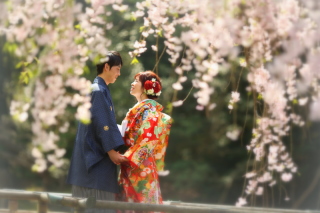 桜も緑も綺麗なロケーションに☆