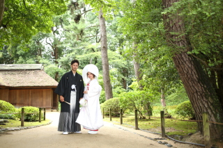 新緑が綺麗でした！