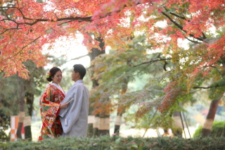 全データ付いてくるプランがありよかったです！