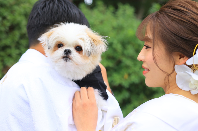 ペットとの撮影