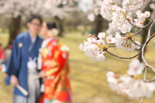 桜ロケーションができてよかった！