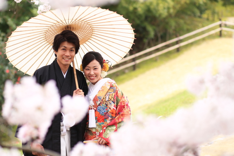 たくさんのデータ