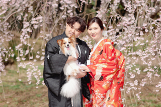 ワンちゃん、ネコちゃんも大切な家族