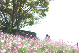 スタジオビュー岡山本店_ドイツの森&times;ドレスロケーション撮影