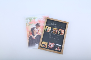 ニールアルバム10P22カット入り