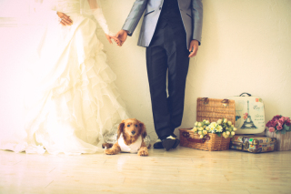 ペットとの撮影