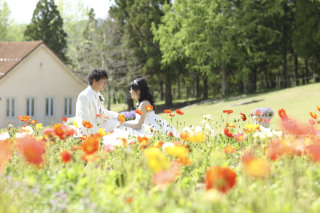 ドイツの森出張料／柵原ふれあい鉱山公園