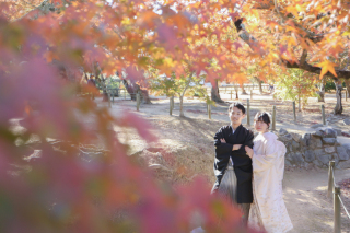 スタジオビュー岡山本店_【毎年人気の高いシーズン】紅葉フォト