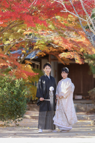 スタジオビュー岡山本店_【毎年人気の高いシーズン】紅葉フォト