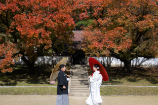 スタジオビュー岡山本店_【毎年人気の高いシーズン】紅葉フォト