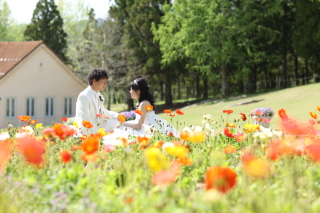 【ドイツの森の花畑ロケーション】洋装1点ロケ ｜春のお花を楽しもう♪〈3/1～5/31撮影〉｜ 菜の花、ポピー、パンジー種類豊富