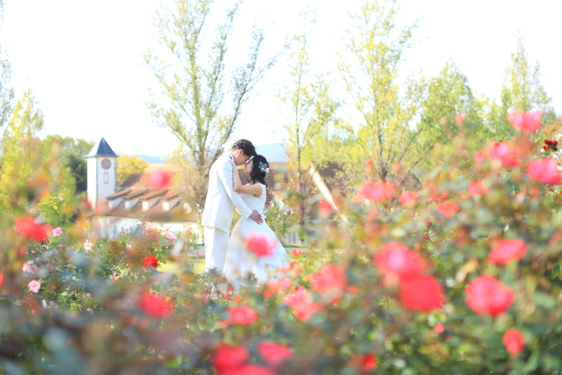 【ドイツの森の花畑ロケーション】洋装1点ロケ ｜春のお花を楽しもう♪〈3/1～5/31撮影〉｜ 菜の花、ポピー、パンジー種類豊富