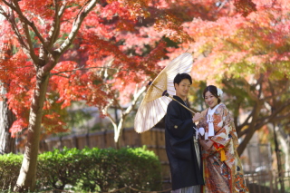 2025年紅葉ロケーション | 和装1点+洋装1点 | 紅葉ロケ×スタジオ撮影〈 11/20～12/10撮影 〉