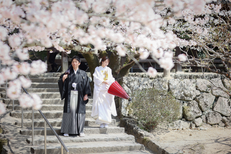 【2026年桜撮影】和装1点+洋装1点 桜ロケ×スタジオ撮影〈4/5・4/6撮影空き有◎〉|毎年人気の桜シーズン