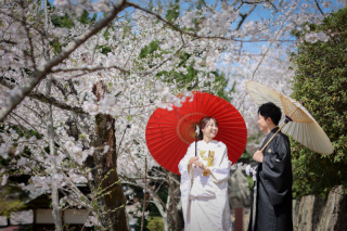 【2026年桜撮影】和装1点+洋装1点　桜ロケ&times;スタジオ撮影〈4/5・4/6撮影空き有◎〉｜毎年人気の桜シーズン