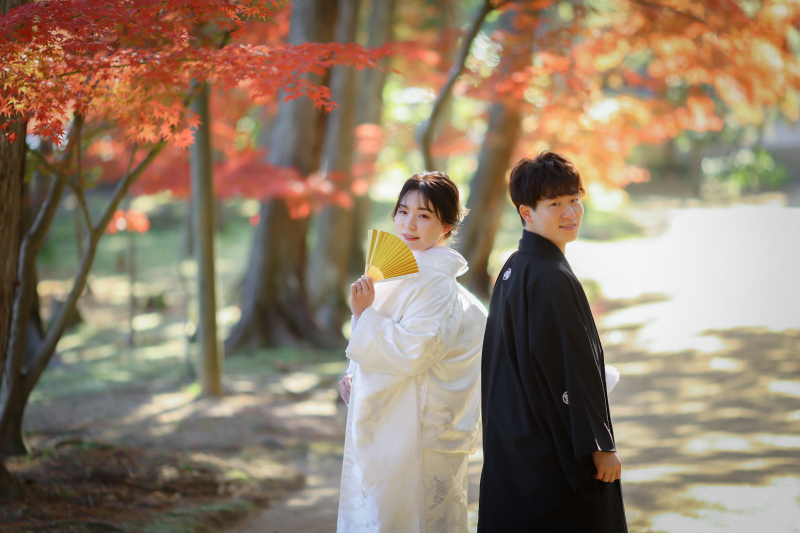 11月相談限定 | ¥154,000→¥99,000 | 和装1点+洋装1点 ロケ×スタジオ|〈11/1~12/15撮影〉