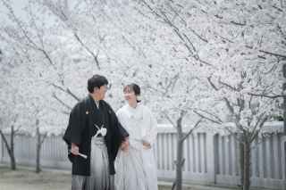 【2026年桜撮影】和装1点+洋装1点　桜ロケ&times;スタジオ撮影〈2/20～3/10・3/20～4/10撮影〉｜毎年人気の桜シーズン