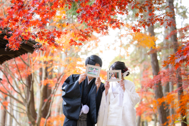 秋Campaign | ¥200,200→¥132,000 | 和装1点+洋装1点 神社or寺ロケ×好きなロケ地1カ所