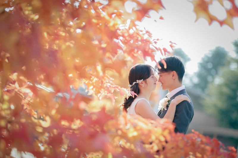 《紅葉早割》＊人気NO.1紅葉ロケスタ＊｜和洋&times;ロケスタ｜和装1点洋装1点｜全データ180カット