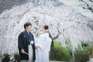 【2026年桜撮影】和装1点+洋装1点 桜ロケ×スタジオ撮影〈2/20~3/10・3/20~4/10撮影〉|毎年人気の桜シーズン