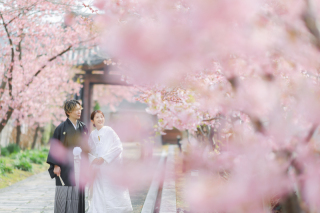 【2026年桜撮影】和装1点 桜ロケーション撮影〈2/20~3/10・3/20~4/10撮影〉|前撮りにもおすすめ★