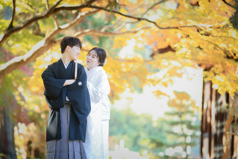 11月相談限定 | ¥154,000→¥99,000 | 和装1点+洋装1点 ロケ×スタジオ|〈11/1~12/15撮影〉