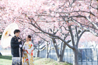 河津桜ロケーションプラン