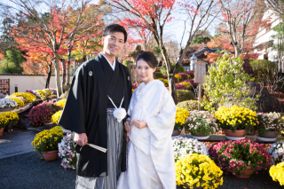 美しい紅葉の中で