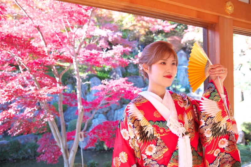 映像の流れの中で