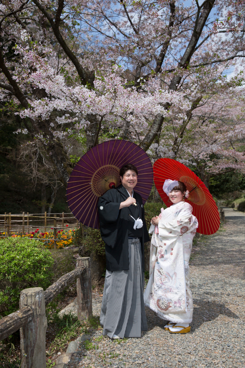 桜と青空
