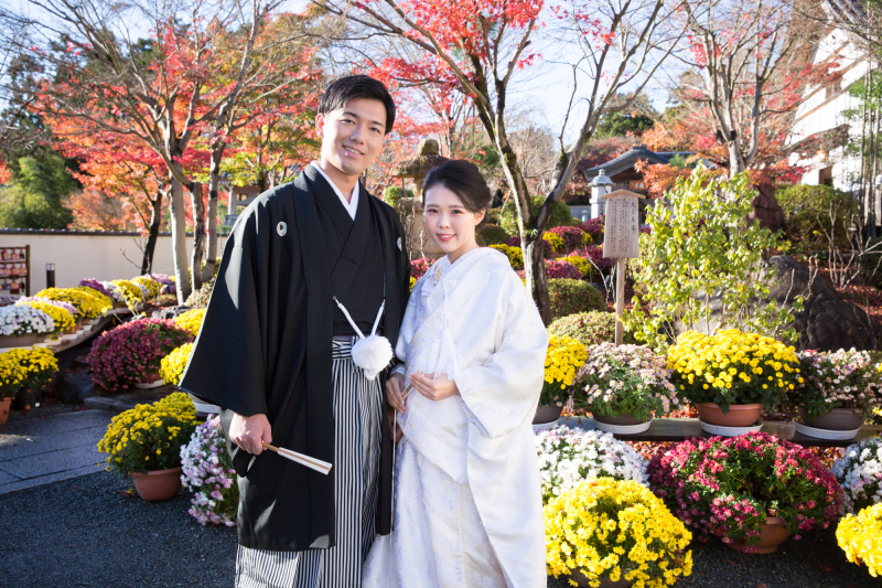 庭園での菊が和装姿を引き立てます