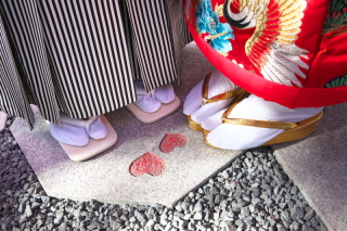 スタジオ ラ・ヴィ　_秋、光が映る場所。宝徳寺・床もみじの紅葉ロケーシ