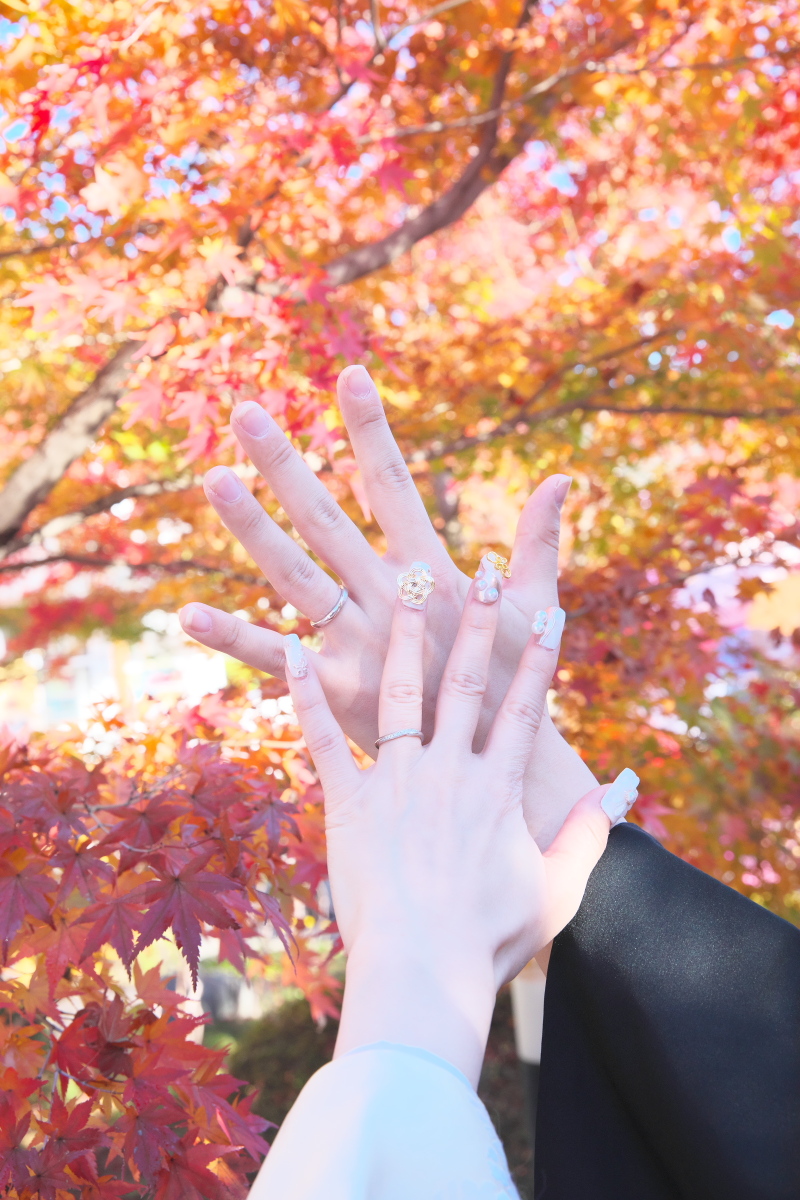 【予約受付スタート1日1組様限定l】静寂の中に広がる紅葉の美しさ──“床もみじ”で残す秋のひととき【秋の宝徳寺特別公開】プラン