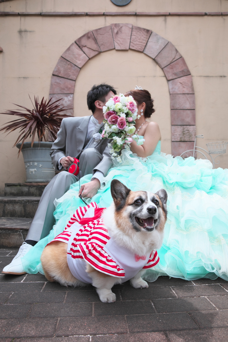 12月は土日料金0円!フリータイム付き!ペットウエディング♪【愛するペットも主役】特別なウエディングフォト
