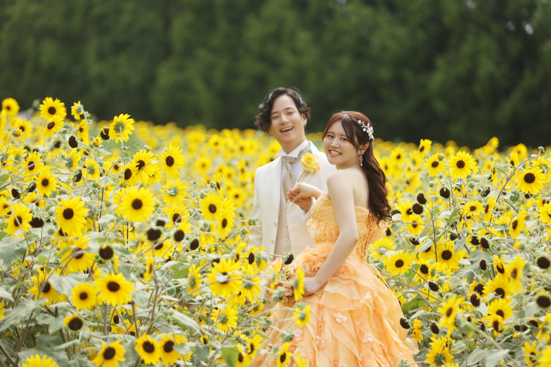 ひまわり畑の中で