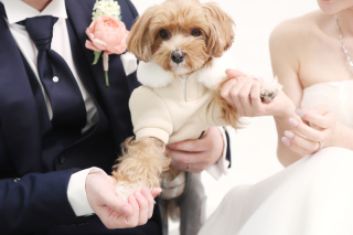 わんちゃんとチャペルフォト