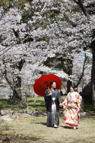 桜+チャペル撮影