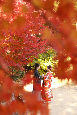 紅葉ロケーション