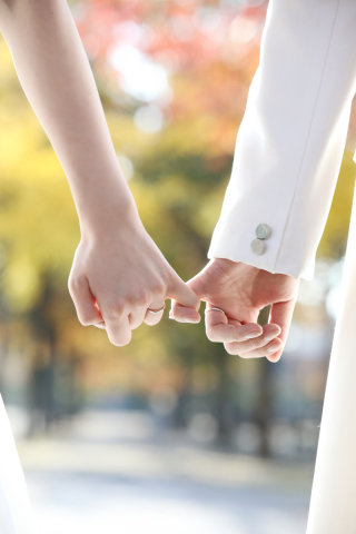 ウェディングドレス × 紅葉フォト